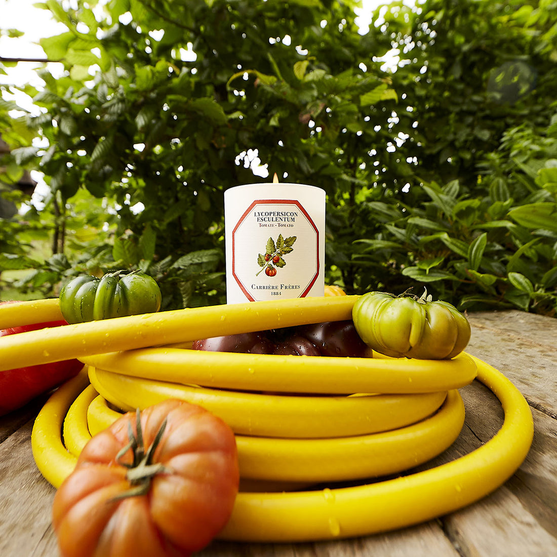 Tomate | Carrière Frères