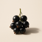 Cassis