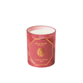 Bougie Feu d'Hiver