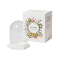 Coffret Le Dôme