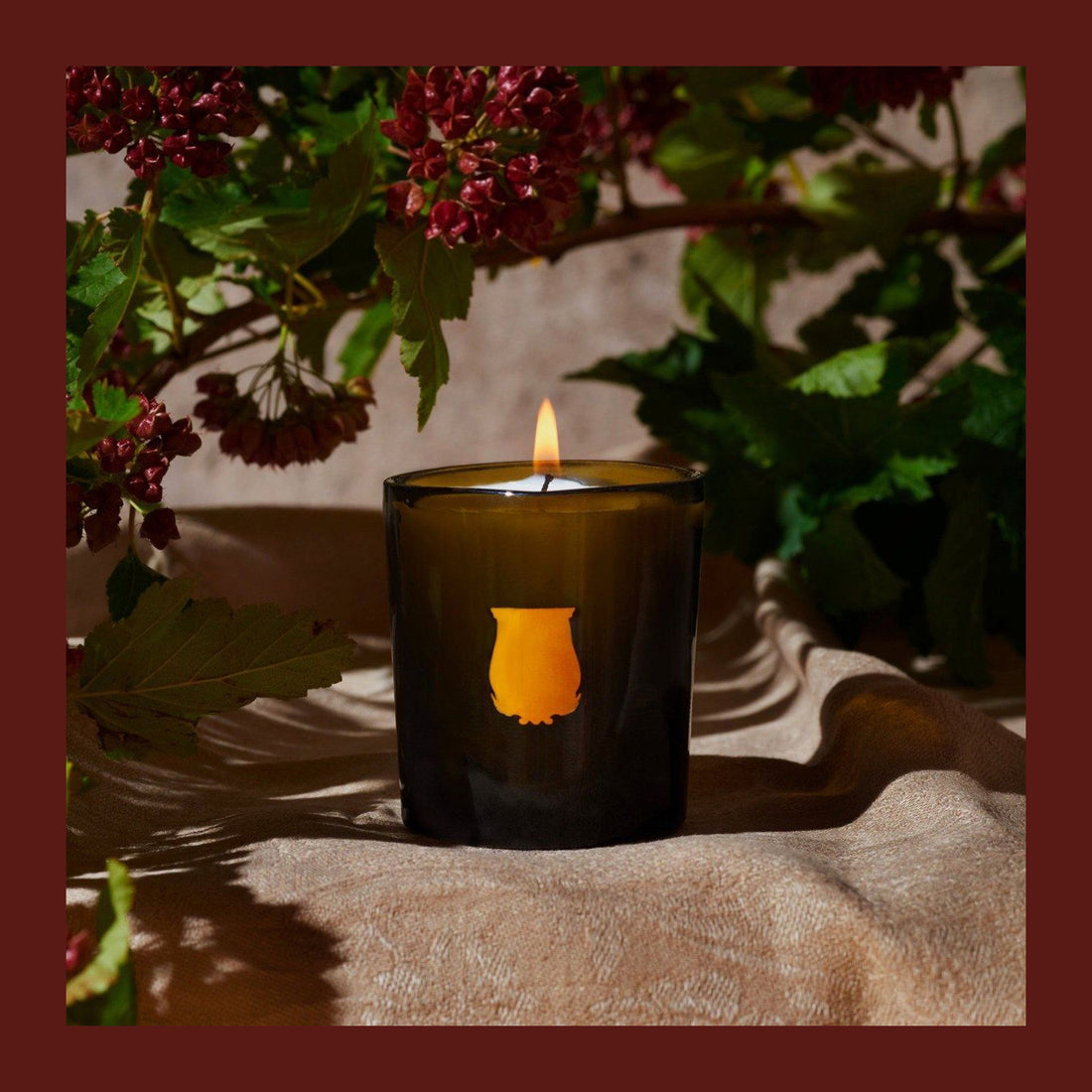 Cyrnos Trudon 70g