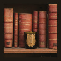Ernesto Trudon 270g