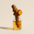 Extrait de Coptis japonica