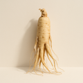 Extrait de ginseng (Panax ginseng)