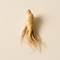 Extrait de ginseng