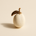 Extrait de Mucuna Blanc