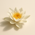 Extrait de nénuphar blanc