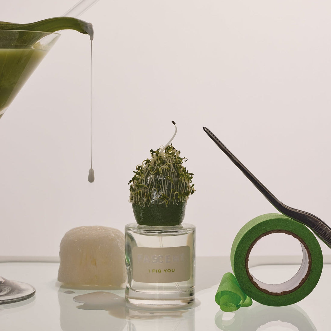 I Fig You | Fascent