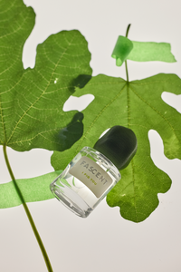 I Fig You | Fascent