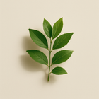 Feuille verte