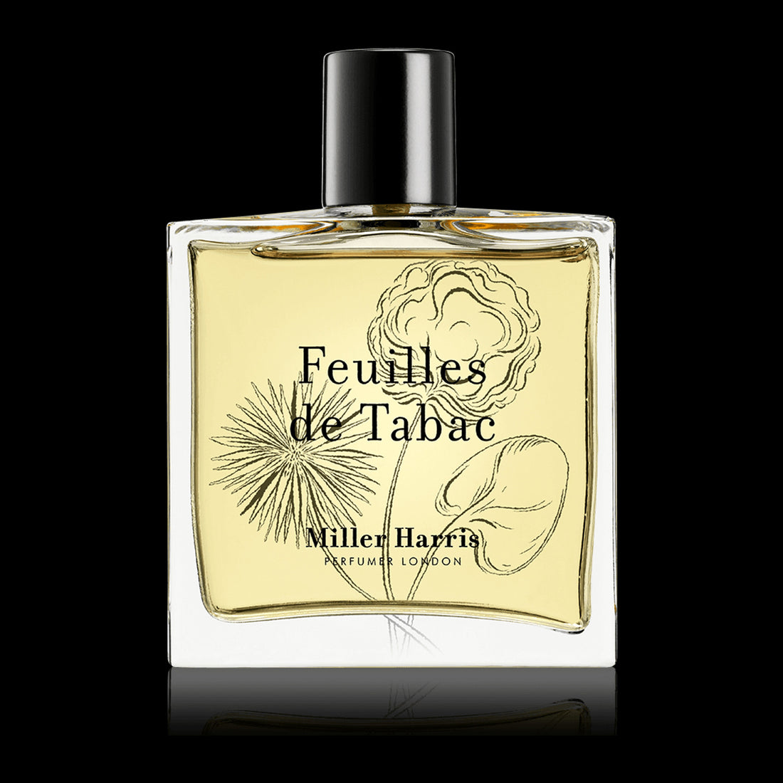 Feuilles de Tabac Miller Harris