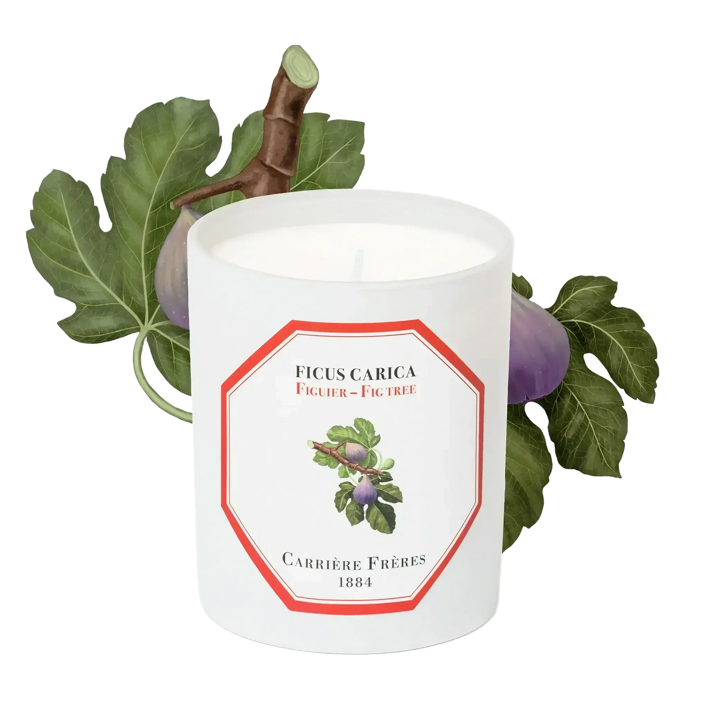 Bougie parfumée Figuier de Carrière Frères, collection ambretmusc, fragrance fruitée méditerranéenne