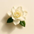 Gardenia
