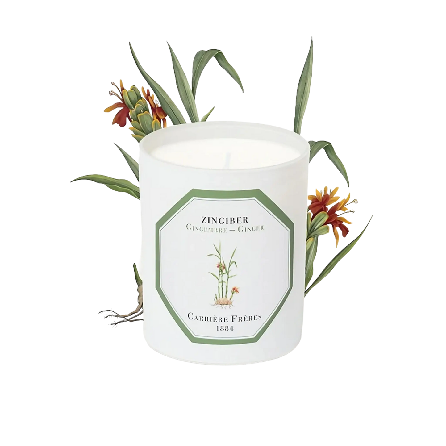 Bougie parfumée Gingembre de Carrière Frères, collection ambretmusc