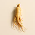 Ginseng