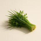 Herbe fraîchement coupée
