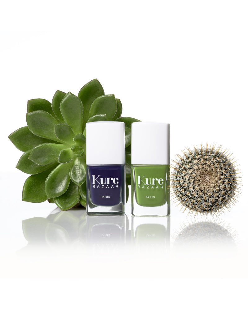 Cactus | Kure Bazaar