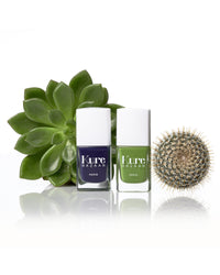 Cactus | Kure Bazaar