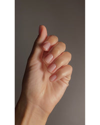 French Rose | Kure Bazaar