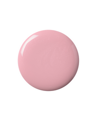 Macaron | Kure Bazaar