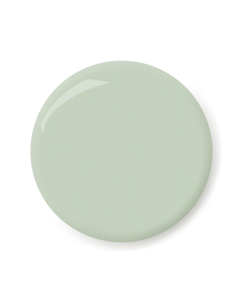 Mint | Kure Bazaar