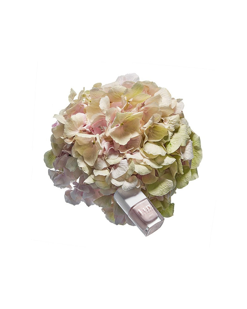 Rose Pearl | Kure Bazaar