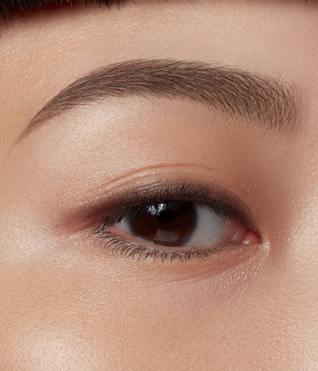 Le Sérum sourcils Gel | La Bouche Rouge