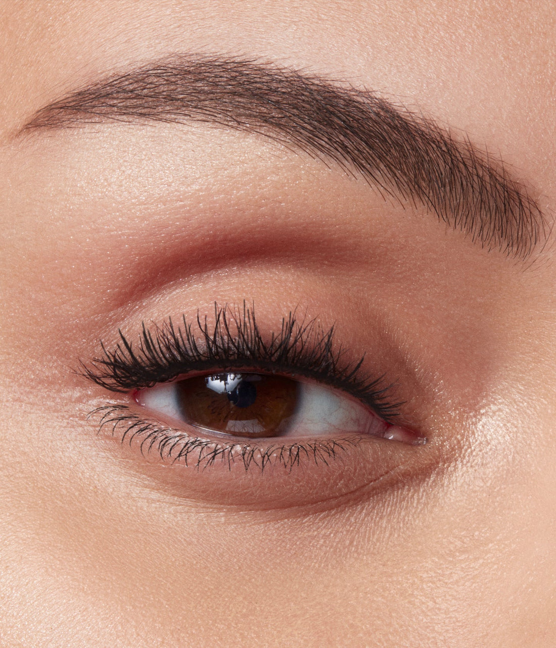Le Sérum sourcils Gel | La Bouche Rouge