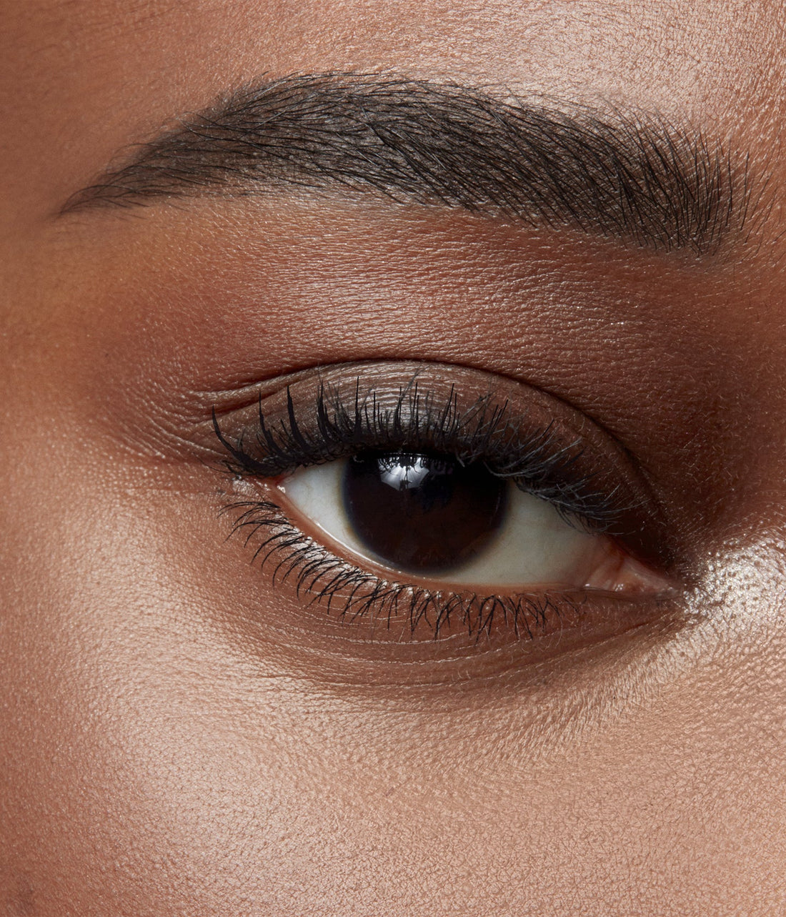 Le Sérum sourcils Gel | La Bouche Rouge