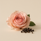 La Rose Aime Le Poivre