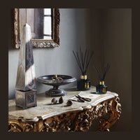 Le Diffuseur Figuerie Trudon 350ml