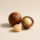 Macadamia