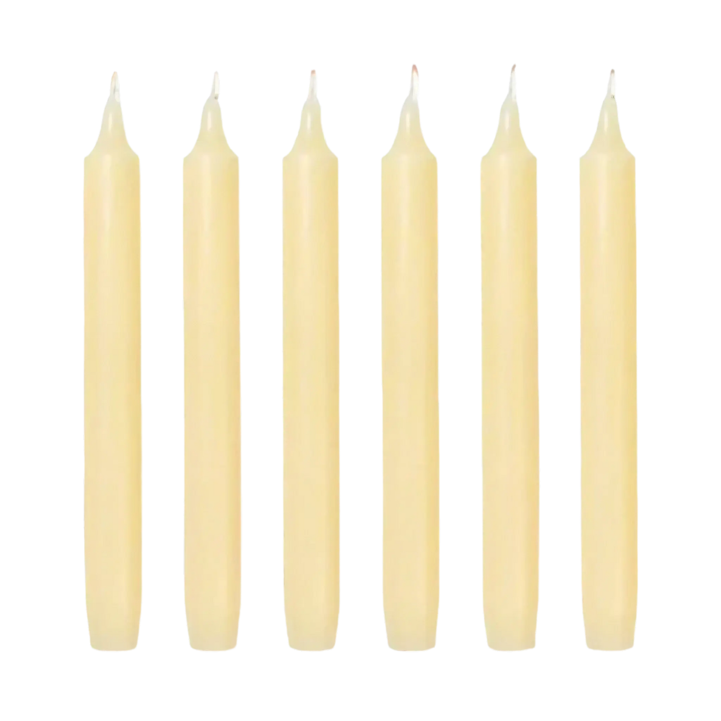 Chandelle Madeleine Ivoire de Trudon en cire pure, fabriquée en Normandie pour une flamme régulière ambretmusc