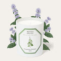 Menthe Verte