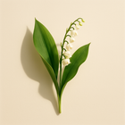 Muguet
