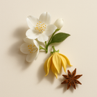 Notes florales