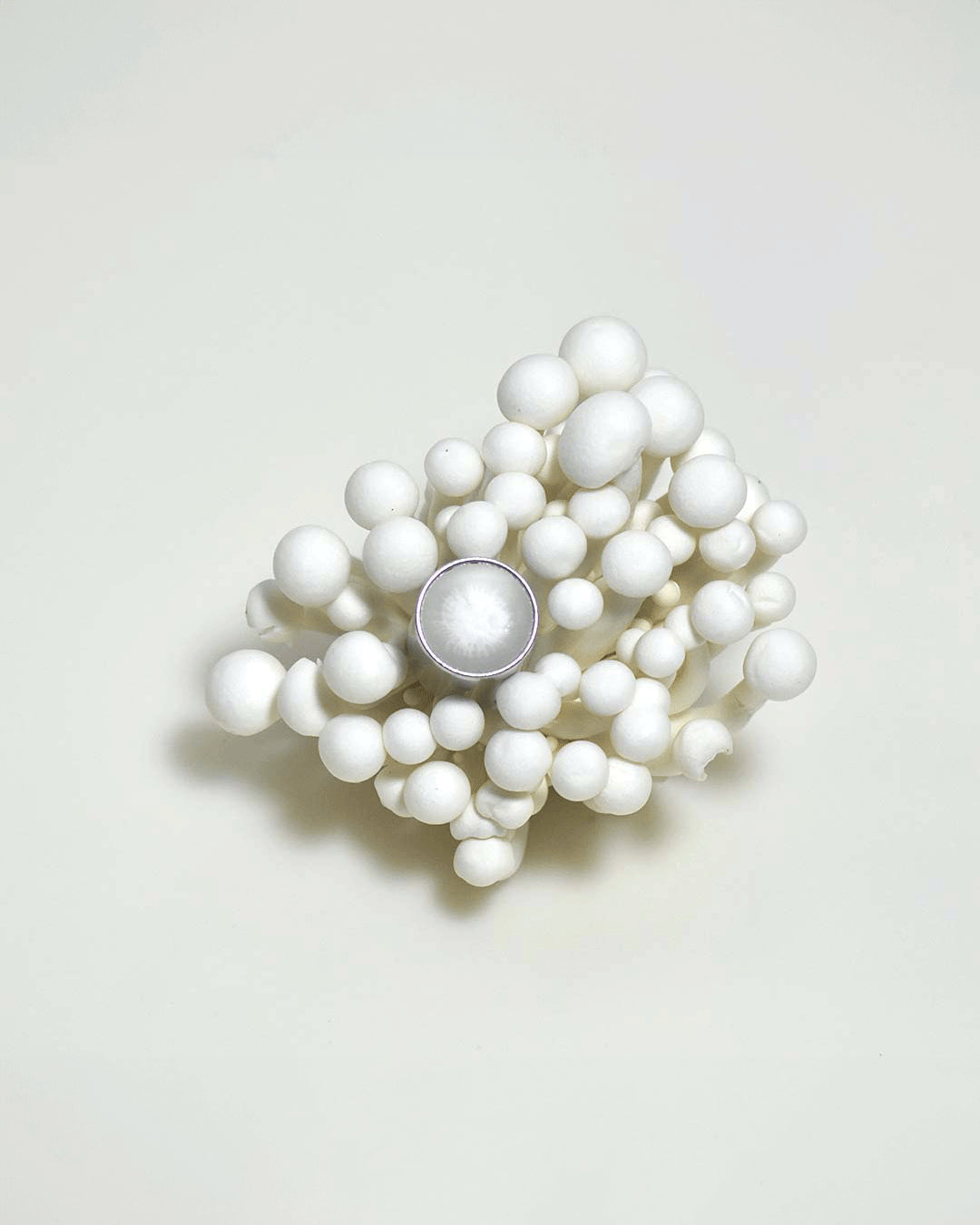 Seminalis | Orto Parisi