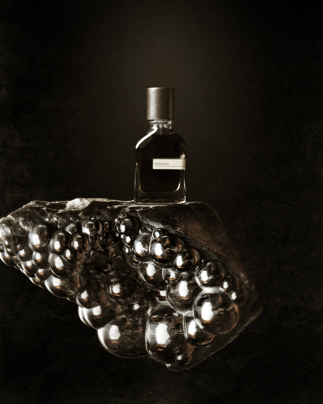 Stercus | Orto Parisi