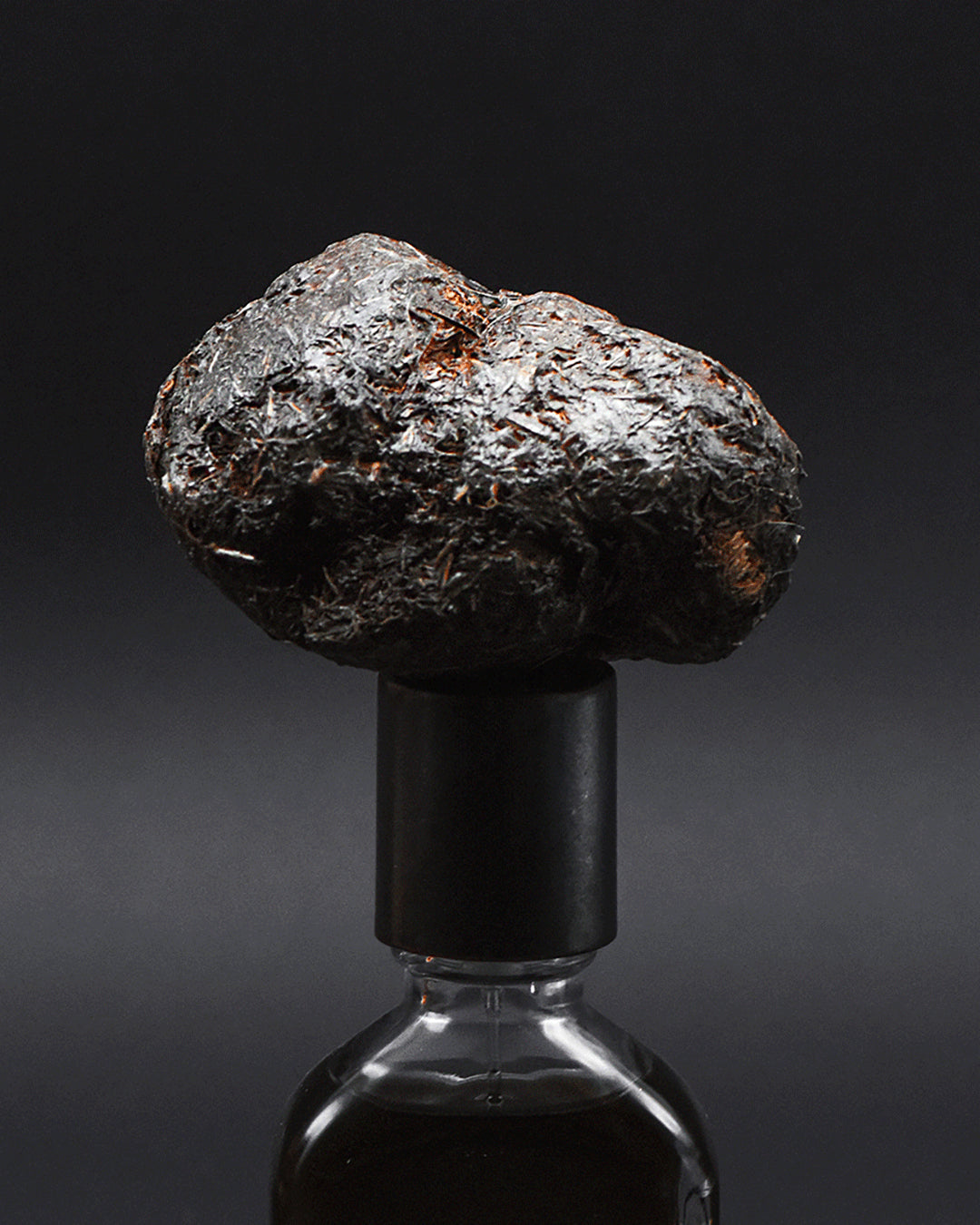 Stercus | Orto Parisi