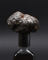 Stercus | Orto Parisi