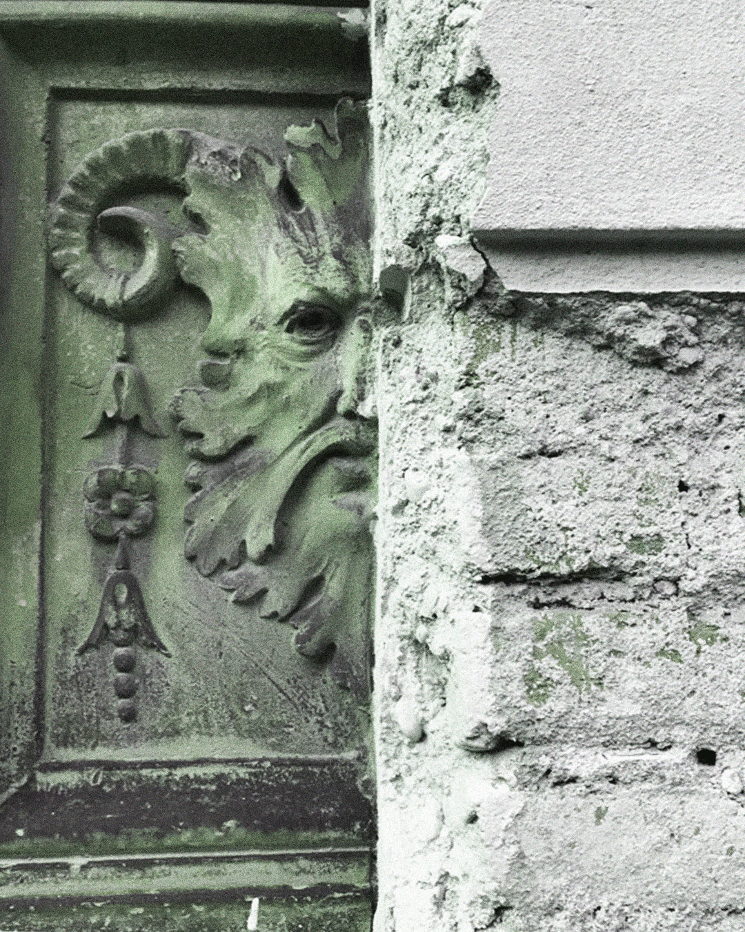 Viride | Orto Parisi