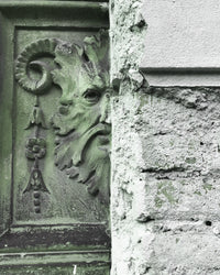 Viride | Orto Parisi