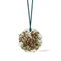 Palet Botanique Cyprès