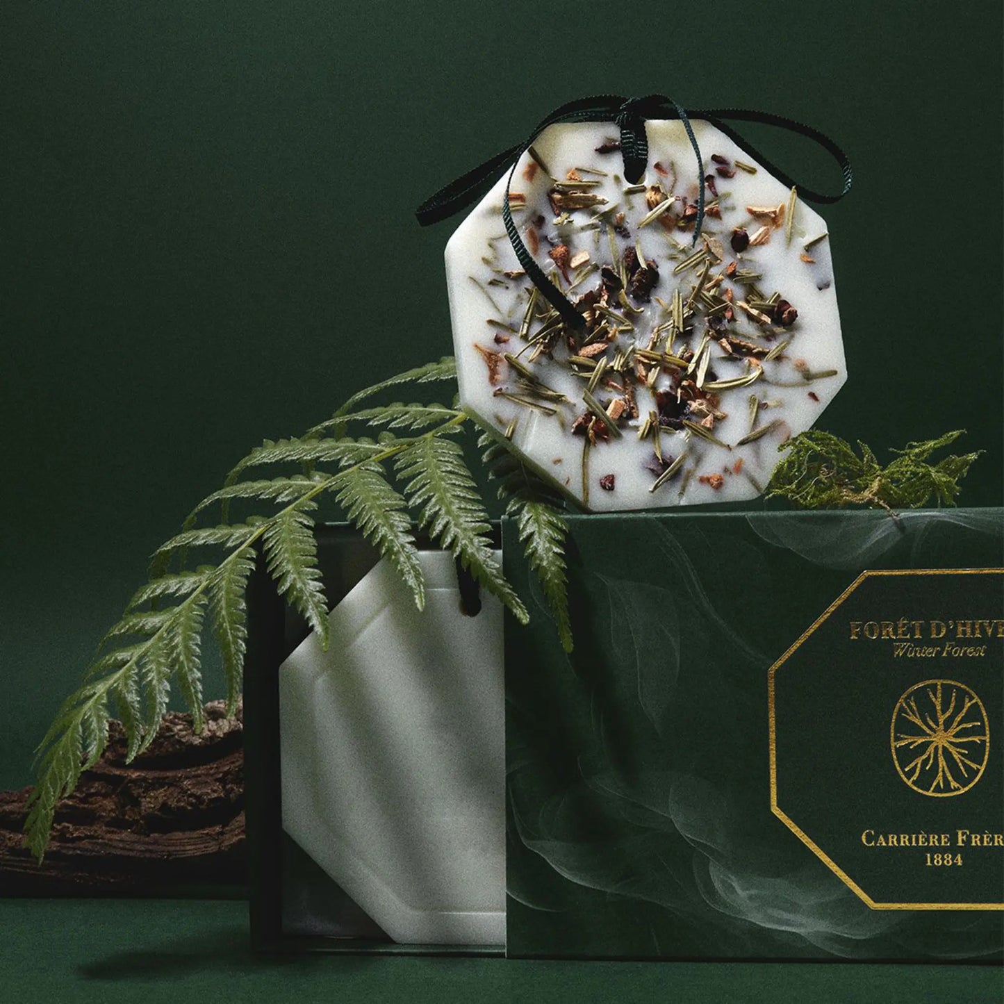 Palet botanique Forêt d'Hiver de Carrière Frères, notes boisées de cèdre et sapin avec ambretmusc pour une ambiance forestière hivernale