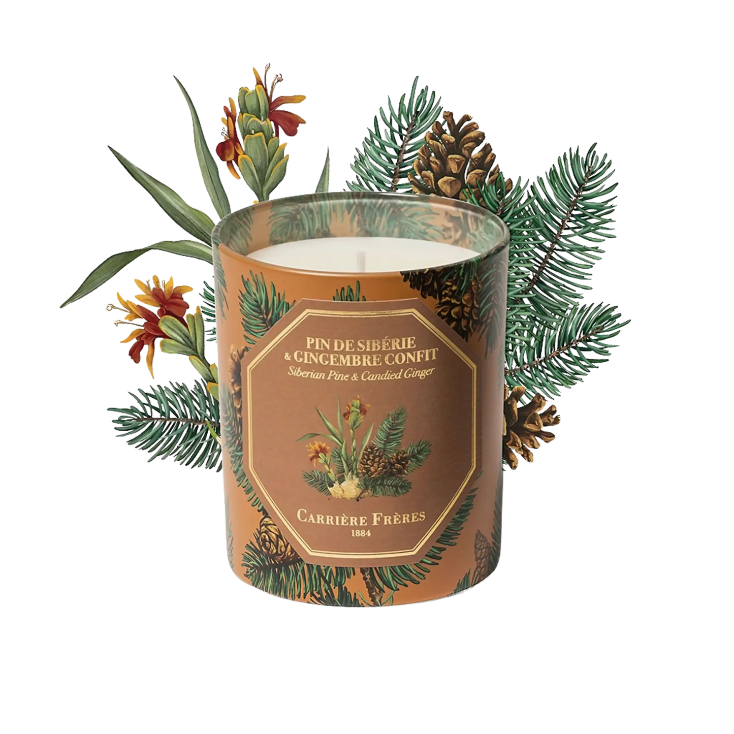 Bougie parfumée Pin de Sibérie et Gingembre Confit de Carrière Frères, collection ambretmusc boisée et gourmande