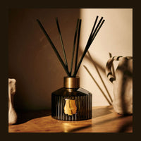 Spiritus Sancti Recharge Diffuseur Trudon 300ml