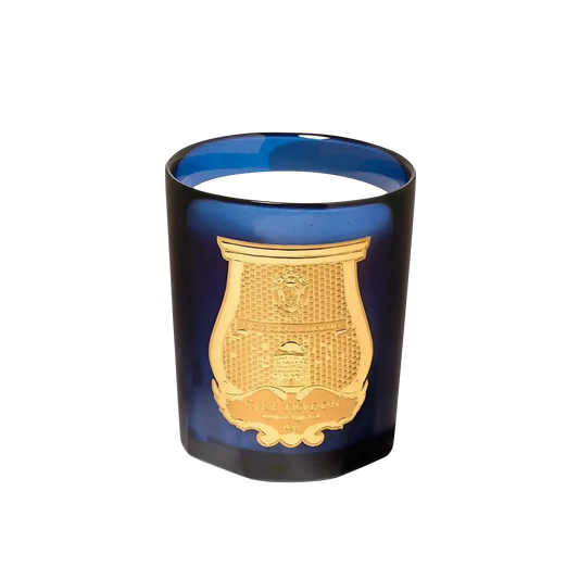 Bougie parfumée Salta de Trudon, fragrance inspirée du pamplemousse de Salta avec verveine, jacinthe et ambretmusc