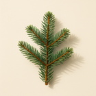 Sapin