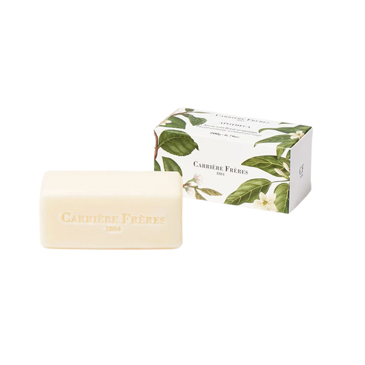 Savon solide Apotheca vegan certifié bio de Carrière Frères, parfum aromatique mentholé avec notes de menthe, sapin et patchouli, ambretmusc