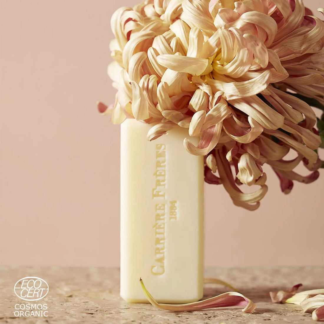 Savon solide Apotheca de Carrière Frères, vegan certifié bio Cosmos Organic, parfum aromatique mentholé à la menthe poivrée et sapin, ambretmusc